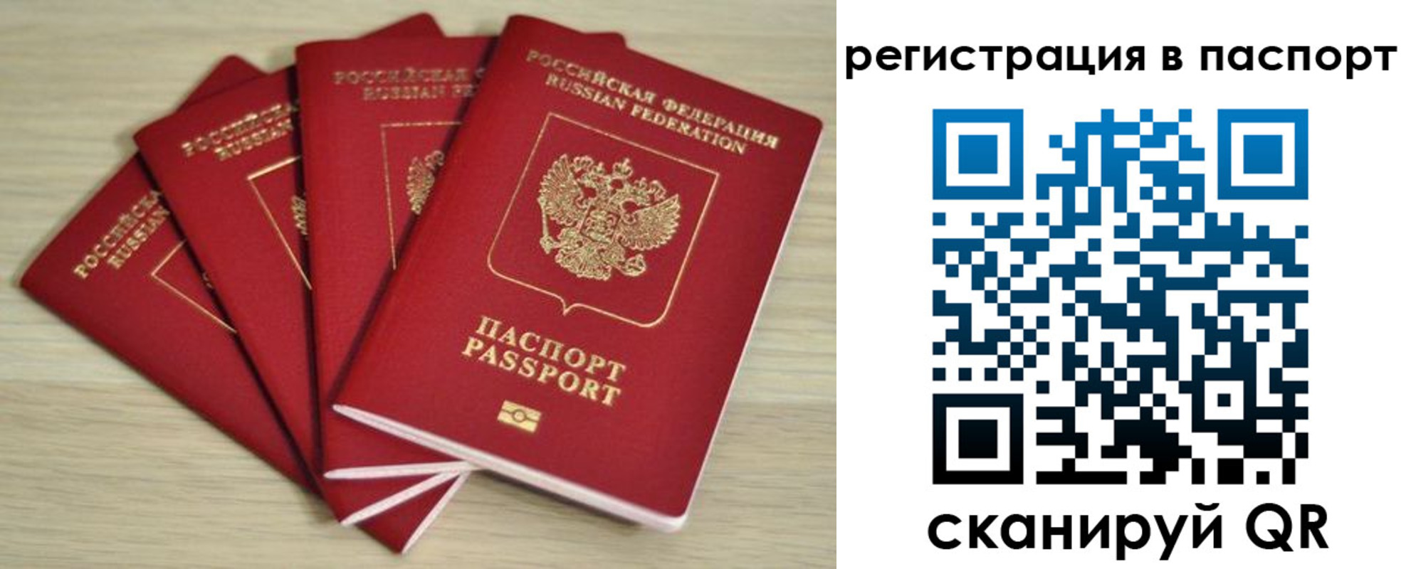 временная регистрация для школы в Николаевске-на-Амуре
